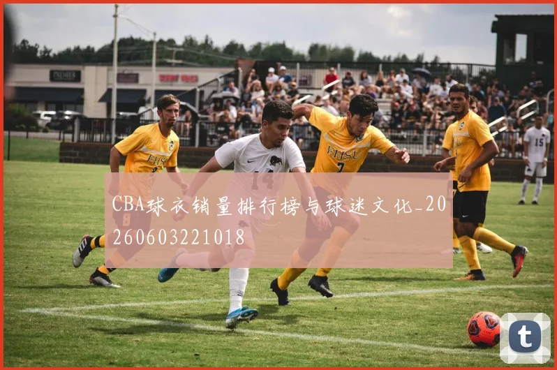CBA球衣销量排行榜与球迷文化_20260603221018
