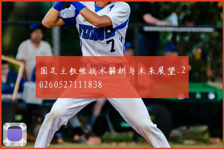 国足主教练战术解析与未来展望_20260527111838